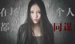 同谋在线观看,揭秘暗网背后的惊心动魄