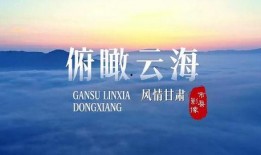 甘肃热点爆料事件视频,视频揭秘惊人真相