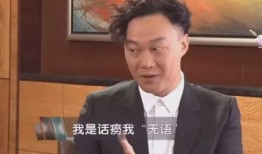 陈奕迅爆料采访视频,揭秘音乐背后的故事与心路历程