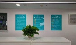 宁波金吉鸟最新爆料,揭秘企业创新与发展新动向