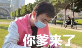 王思聪爆料瞬间视频大全,独家爆料背后的精彩瞬间