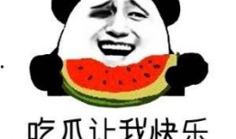免费吃瓜啥意思,网络热词背后的文化现象