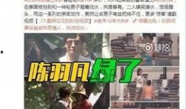 袁铭喆爆料胡良伟视频,真相与争议并存