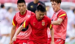 踢假球的爆料视频大全集,踢假球视频大全集深度解析