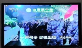 cctc13在线观看,探索新闻与文化的深度视角