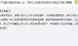 王思聪爆料瞬间视频大全,独家爆料背后的精彩瞬间