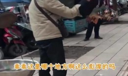 爆料笑到抽筋的视频,笑到抽筋！揭秘爆笑视频幕后故事