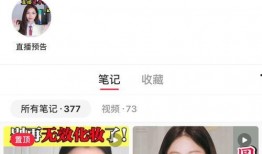 良心博主爆料视频下载,视频下载背后的秘密与真相