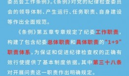 精制盐检测员爆料视频讲解,精制盐检测员亲述幕后真相