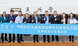 石油高管爆料新闻报道,揭秘石油行业内幕