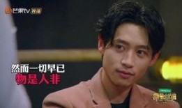 明星大爆料王鸥视频播放,明星大爆料背后的惊人真相