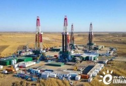 大庆油田爆料事件视频最新,揭露行业黑幕与真相