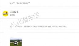 从化新闻爆料网站最新,最新爆料揭示城市动态与民生焦点