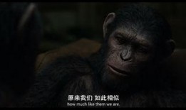 猿星崛起1在线观看,智变时代，原始生命的逆袭