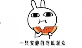 免费吃瓜啥意思,网络热词背后的文化现象