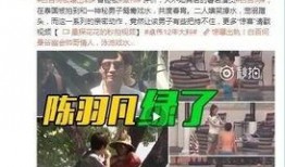 周志浩被爆料出轨视频,真相与争议