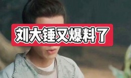 刘大锤爆料金庸视频大全