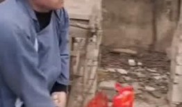 民间搞怪爆料事件视频在线观看,在线观看乐翻天