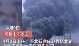 太谷媒体爆料事件视频,视频揭露惊人真相