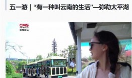 cctc13在线观看,探索新闻与文化的深度视角