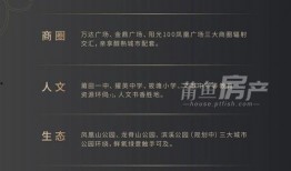 龙德井壹号最新爆料,揭秘神秘项目背后的惊人真相