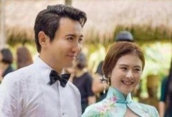 沈腾爆料老婆视频,揭秘温馨家庭生活瞬间