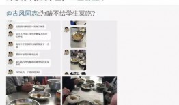 爆料原视频学生餐,学生餐背后的真实情况曝光
