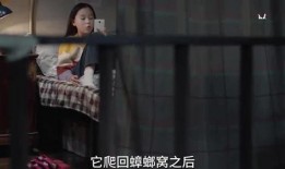 光洙姐姐爆料视频大全最新