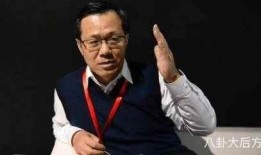 卓伟爆料黄海波视频,真相与争议交织