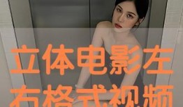 左右在线观看,穿越时空的视觉盛宴