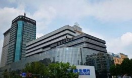 宁波金吉鸟最新爆料,揭秘企业创新与发展新动向
