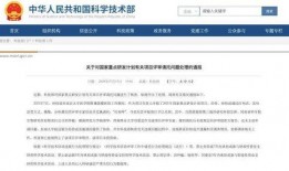 大岭山新闻爆料电话查询,揭秘民生热点，倾听市民心声