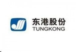 东港股份最新爆料信息,揭秘企业转型与市场布局新动向