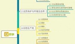鸡翅佐助爆料视频大全集,揭秘幕后真相与精彩瞬间