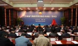 石油高管爆料新闻报道,揭秘石油行业内幕