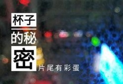 德州饭店爆料事件视频,揭露行业潜规则