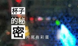 德州饭店爆料事件视频,揭露行业潜规则