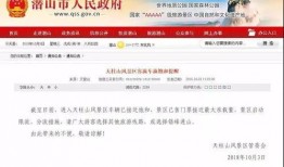 甘肃观察爆料最新消息,最新消息揭示惊人内幕