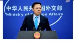 河北警察爆料案件视频,视频揭露惊人真相