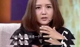 何洁历史爆料视频,从辉煌到低谷，她的人生历程与心路历程