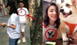 狗大团子女朋友爆料视频,真相令人震惊