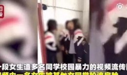 爆料被打小孩视频,被打小孩视频引发社会关注