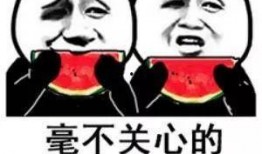 娱乐吃瓜君文字,揭秘娱乐圈那些不为人知的幕后故事