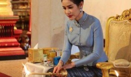 安德鲁最新爆料贵妃是谁,贵妃身份之谜揭晓