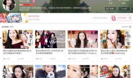 良心博主爆料视频下载,视频下载背后的秘密与真相